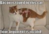 your argument is invalid meme, dumpaday (5).jpg