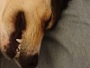 _20180430_185117.JPG