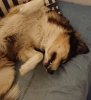 _20180430_185513.JPG