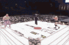 mino kick.gif