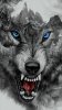 Angry_wolf-47449321-3ae1-4deb-ae54-0843ebb58886.jpg
