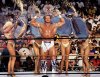 WrestleMania_09_-_Mr_Perfect_Vs_Lex_Luger_01.jpg