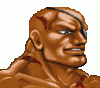 Sf2hf-sagat-portrait.gif