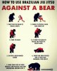 Bear Jitsu.jpg