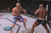 260x3lh.gif