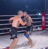 khabib-hit.gif