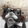 khabibs hat avatar.jpg