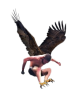 Swooping Khabirb.png