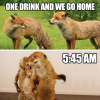 One-drink-and-we-go-home-meme-700x700.png