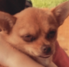 514C69EF-D33B-4A5F-A852-414C76DB628C.png