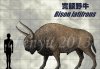 bison_latifrons_by_sinammonite-d6s8j43.jpg