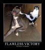 1617775-flawless_victory.jpg