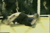 Mura.gif