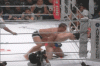 Vitor 2.gif
