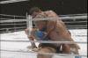 Vitor Gracie vs Bobby Southworth.gif