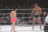 Vitor 3.gif