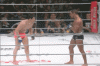 Vitor 7.gif