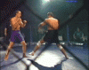 Ivan Chestowukov vs Ivan Gerus (IAFC) - 3.gif