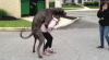 giphy (5).gif