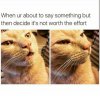 comment_Is4WnvsmGnvBlKXhvZ2BmNrfvVHJVuwN.jpg