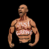 Myrddin Wild Paint shoopers icons.png