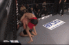 groovy 3.gif