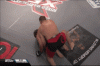 groovy 4.gif