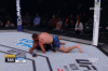 groovy 9.gif