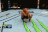 groovy 11.gif