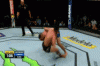 groovy back 1.gif