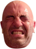 rogan squinting cut out.png