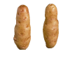 long potato.png
