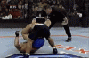 pat revers 2.gif