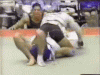 TK reversal 1.gif