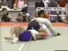 TK reversal 2.gif