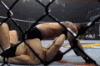 TK reversal Kimo.gif