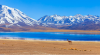 Chile-Lagoons-640x357.png