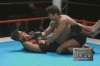 Alistair Overeem vs Yasuhito Namekawa.gif