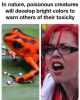 52605520_1045360245655768_8325154780234121216_n.png