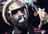 Snoop.png