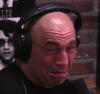 terrified rogan.png