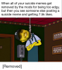 when-all-of-your-suicide-memes-get-removed-by-the-32952854.png