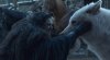 jon pets ghost.jpg