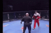 slap volk 3.gif