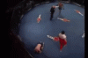 slap volk 2.gif