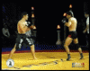 Khabib TD 1.gif