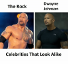 dwayne-the-rock-johnson-celebrities-that-look-alike-19497505.png