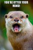 youre-otter-your.jpg