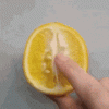 tenor (2).gif