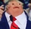 394E704E-72A1-4562-860F-DBBC9FA32969.jpeg